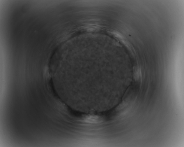 X0000089870471200707121757
