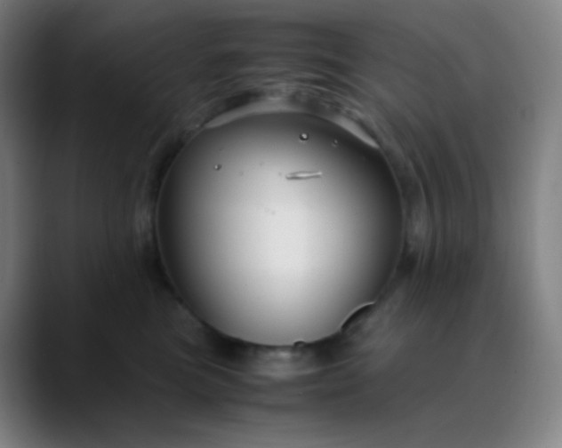 X0000089870473200707121757