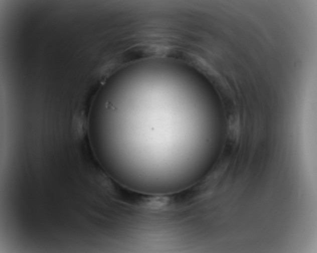 X0000089870474200707121757