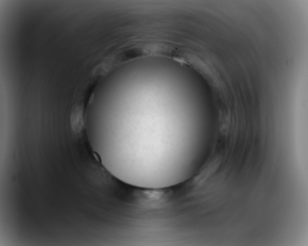 X0000089870478200707121757