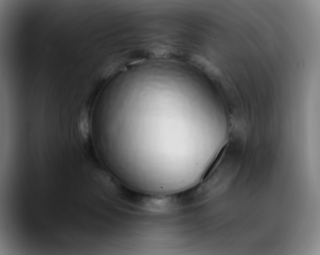 X0000089870479200707121757
