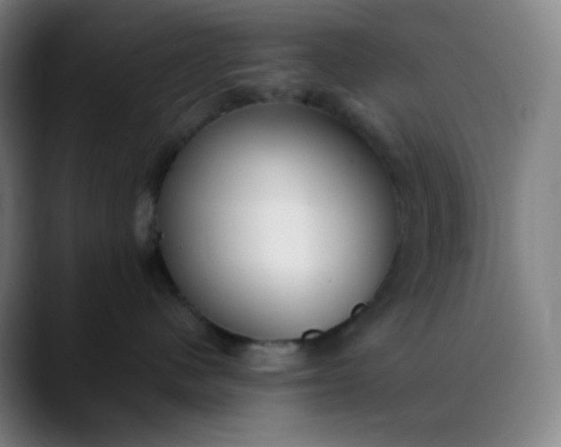 X0000089870480200707121757