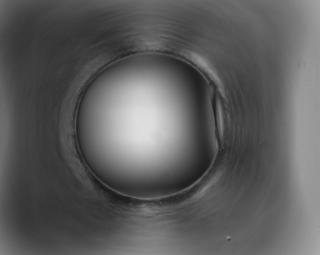 X0000089870481200707121757