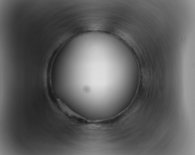 X0000089870482200707121757
