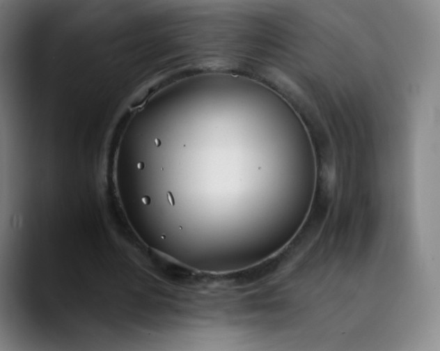 X0000089870484200707121757