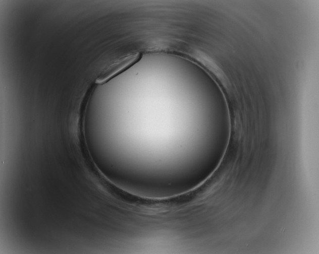 X0000089870485200707121757