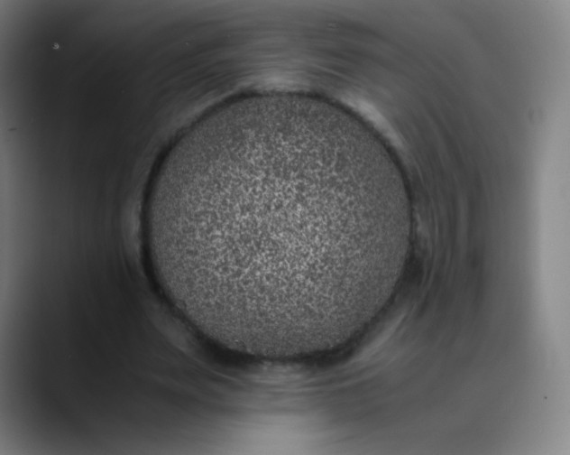 X0000089870487200707121757