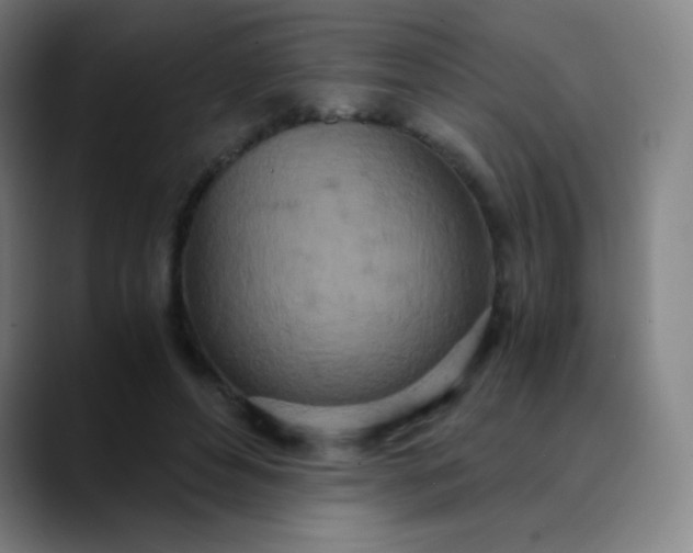 X0000089870496200707121757