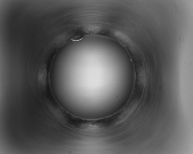 X0000089870498200707121757