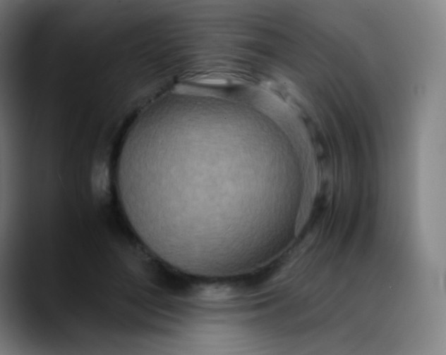 X0000089870500200707121757