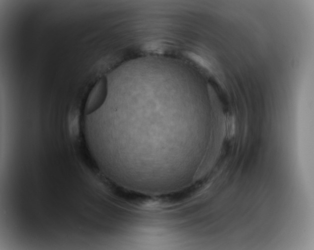 X0000089870504200707121756