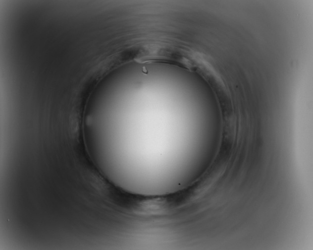 X0000089870505200707121756
