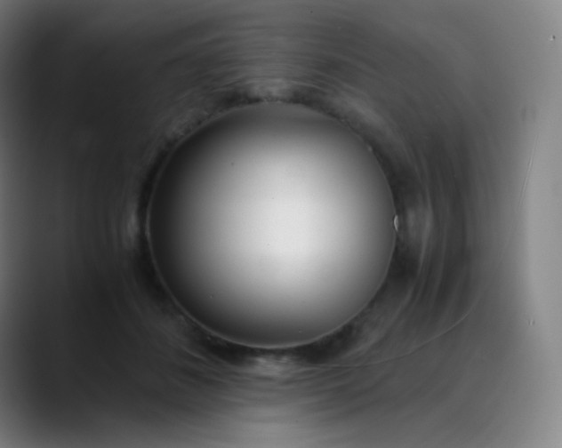 X0000089870508200707121756