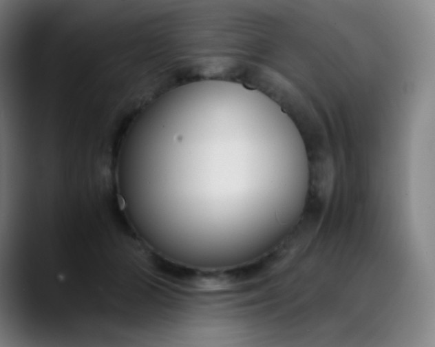 X0000089870510200707121756