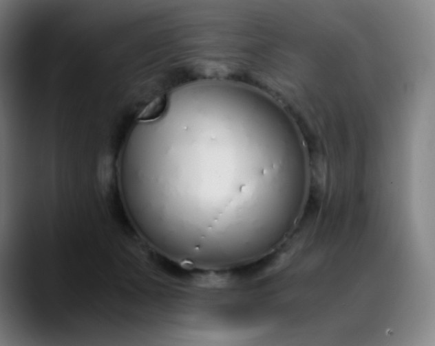 X0000089870511200707121756