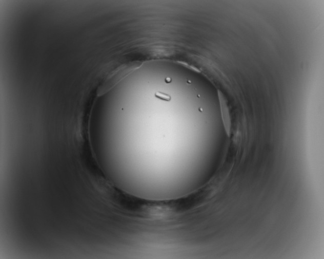 X0000089870512200707121756