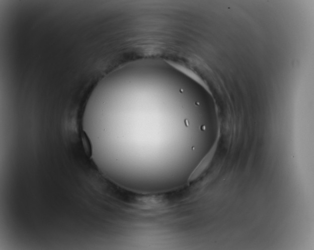 X0000089870516200707121756