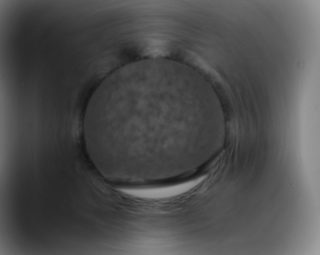 X0000089870517200707121756