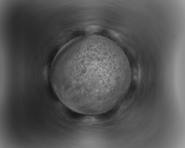 X0000089870519200707121756