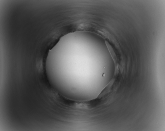 X0000089870520200707121756