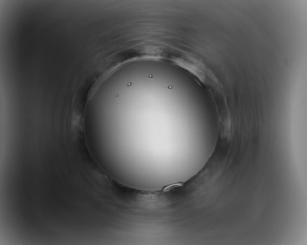 X0000089870521200707121756