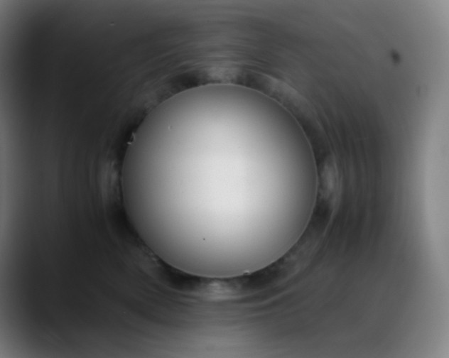 X0000089870522200707121756