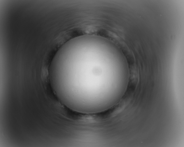 X0000089870523200707121756