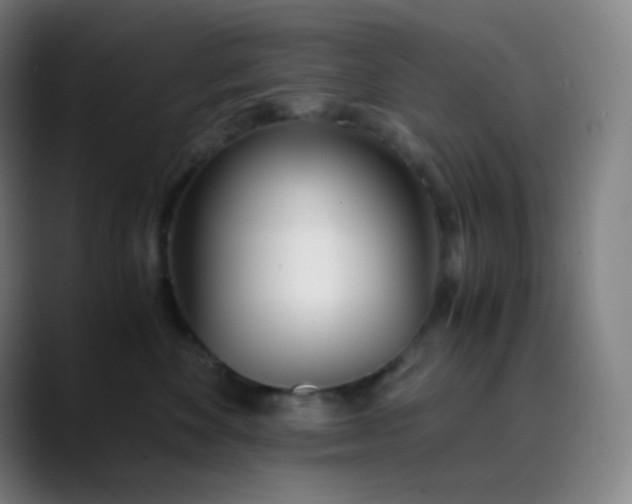 X0000089870524200707121756