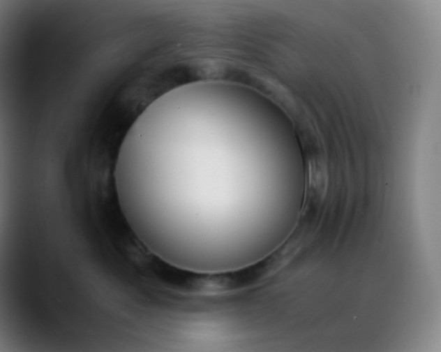 X0000089870525200707121756