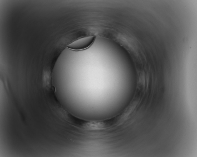 X0000089870526200707121756