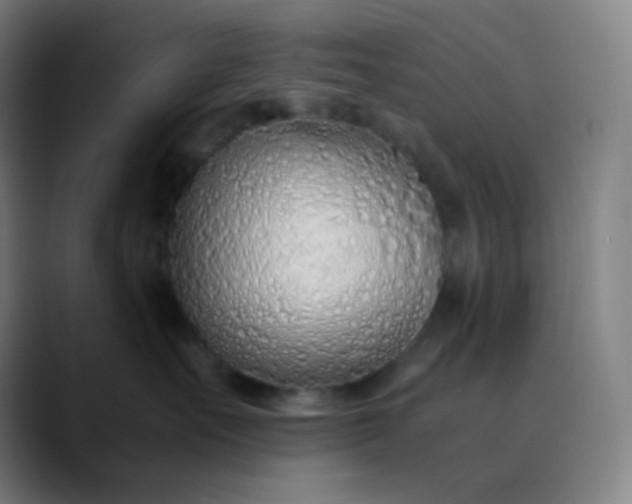 X0000089870527200707121756