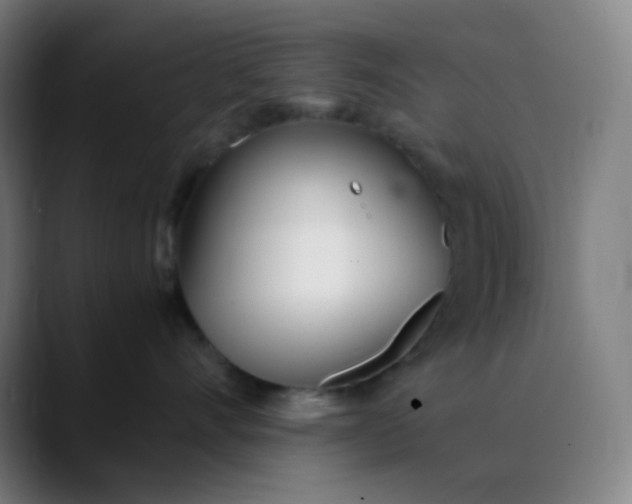 X0000089870528200707121756