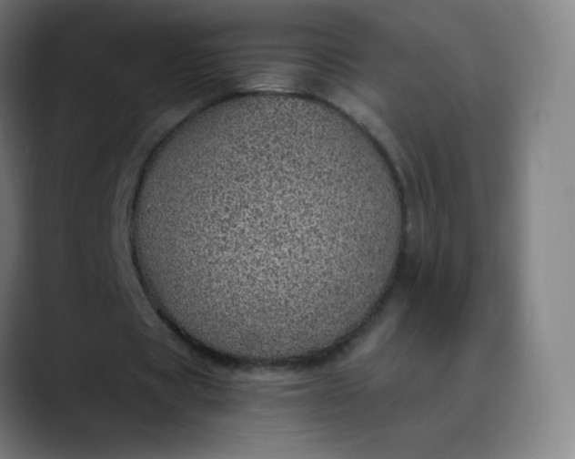 X0000089870529200707121756