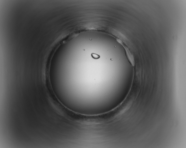X0000089870530200707121756