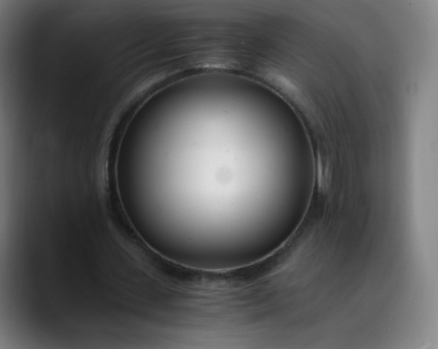 X0000089870531200707121756