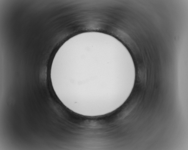 X0000089870534200707121756