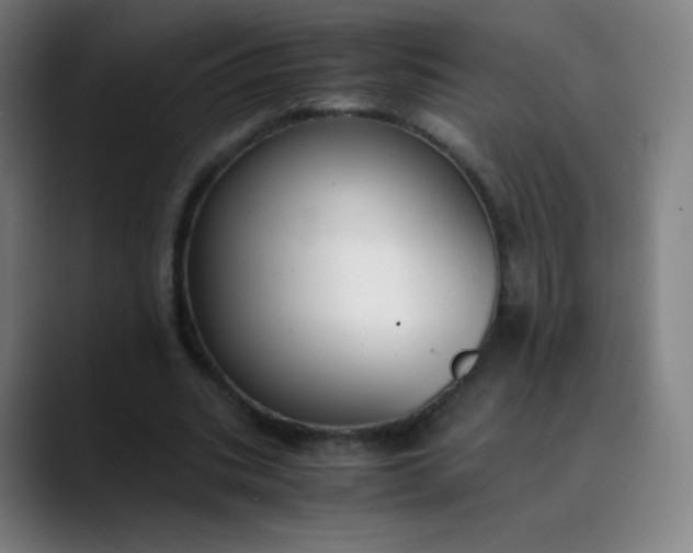X0000089870535200707121756