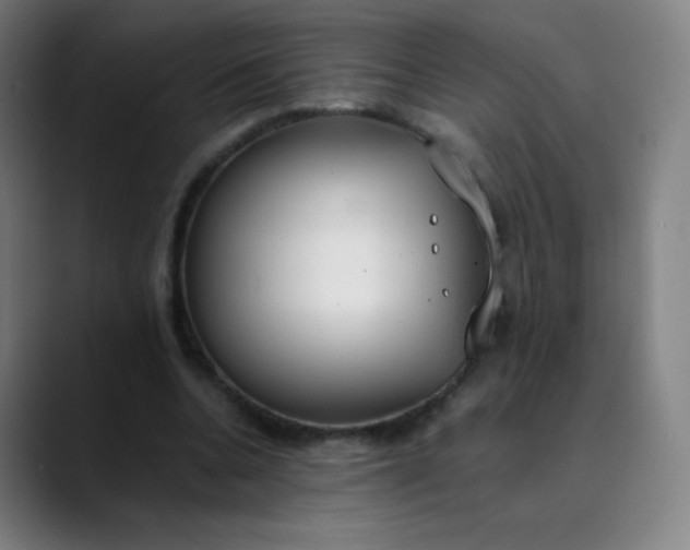 X0000089870536200707121756