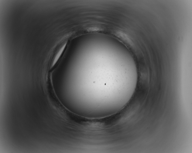 X0000089870539200707121756