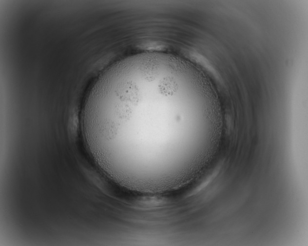 X0000089870541200707121756