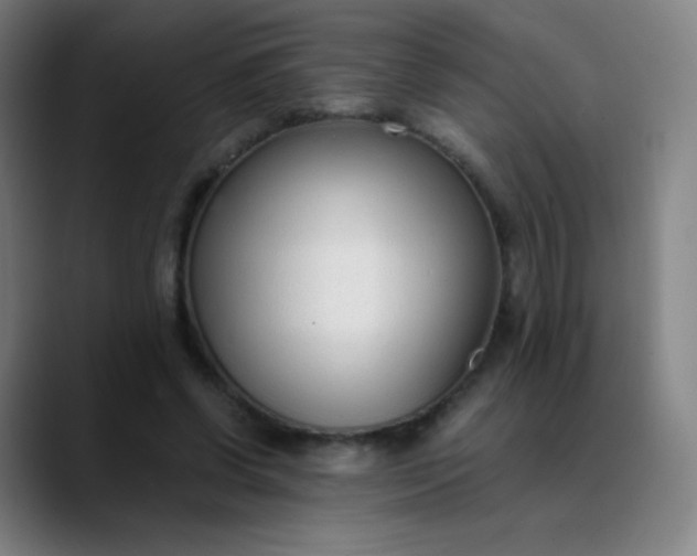 X0000089870542200707121756