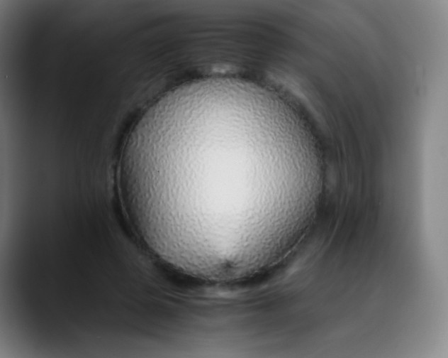 X0000089870545200707121756