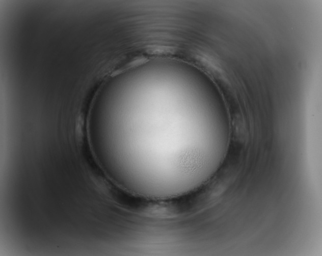 X0000089870550200707121756