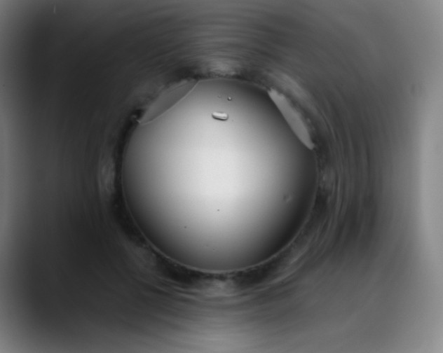 X0000089870552200707121756