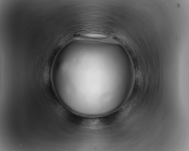 X0000089870554200707121756