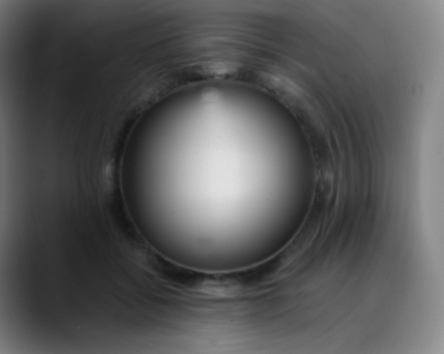 X0000089870556200707121756