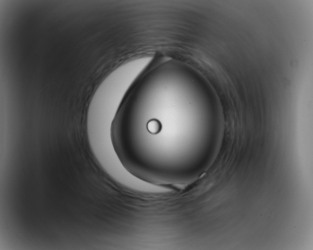 X0000089870558200707121756