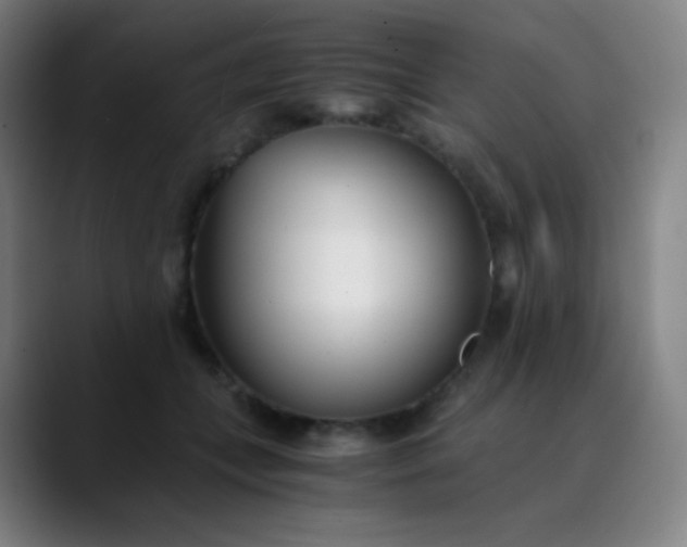 X0000089870559200707121756