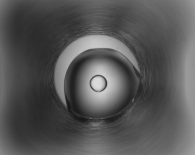X0000089870560200707121756