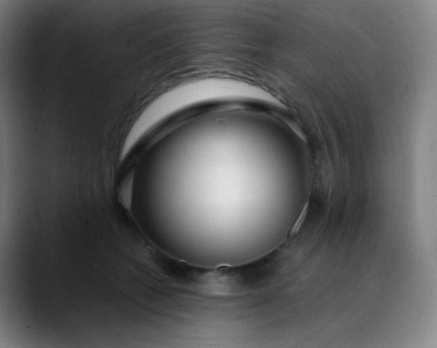 X0000089870562200707121756